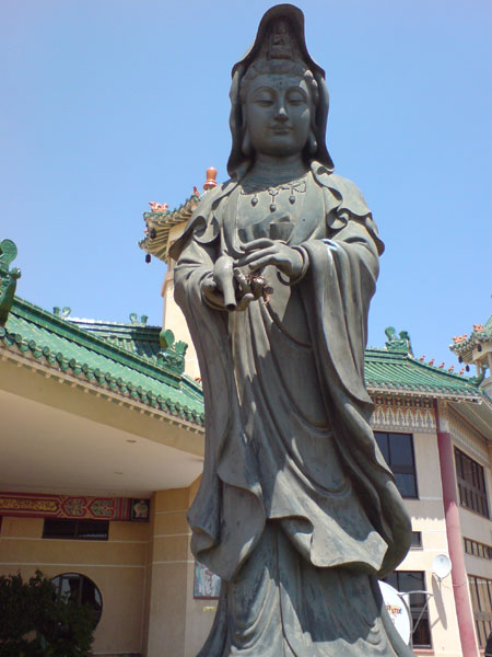 DSC00495